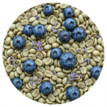 Gemini_Generated_Image_2ckjr42ckjr42ckj